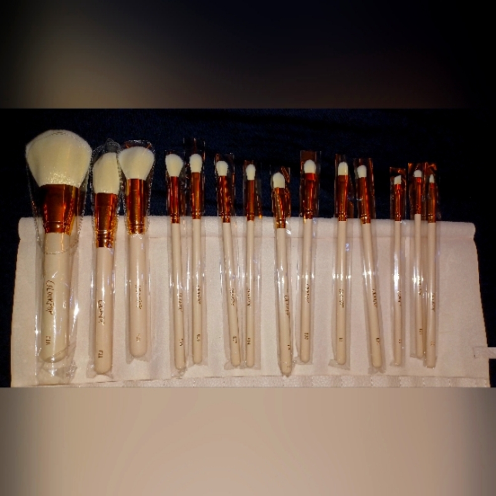ColourPop ultimate Brush Roll brand new with case & protective covers on brushes